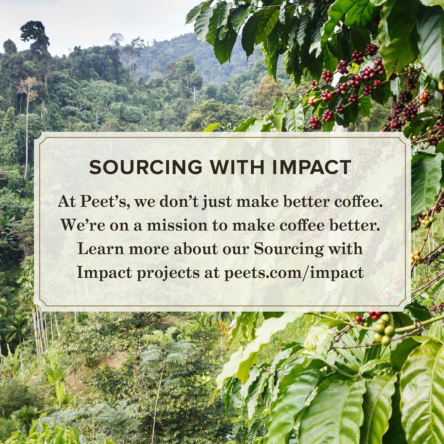 image:imagePeets Coffee Dark Roast Keurig KCup Pods 100 Arabica Coffee French Roast 88 Count 4 Boxes of 22 PodsMajor Dickasons Blend