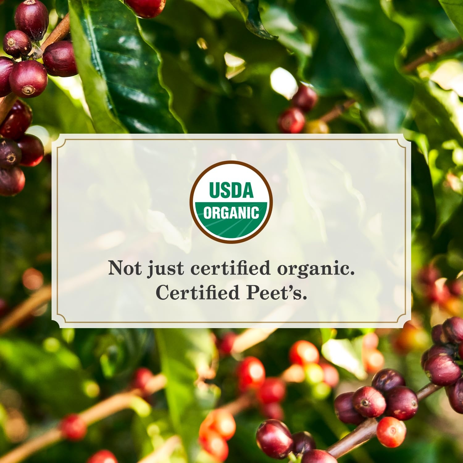 image:imagePeets Coffee USDA Organic Dark Roast Ground Coffee 100 Arabica Coffee French Roast 18 Ounce BagOrganic Alpine Blend
