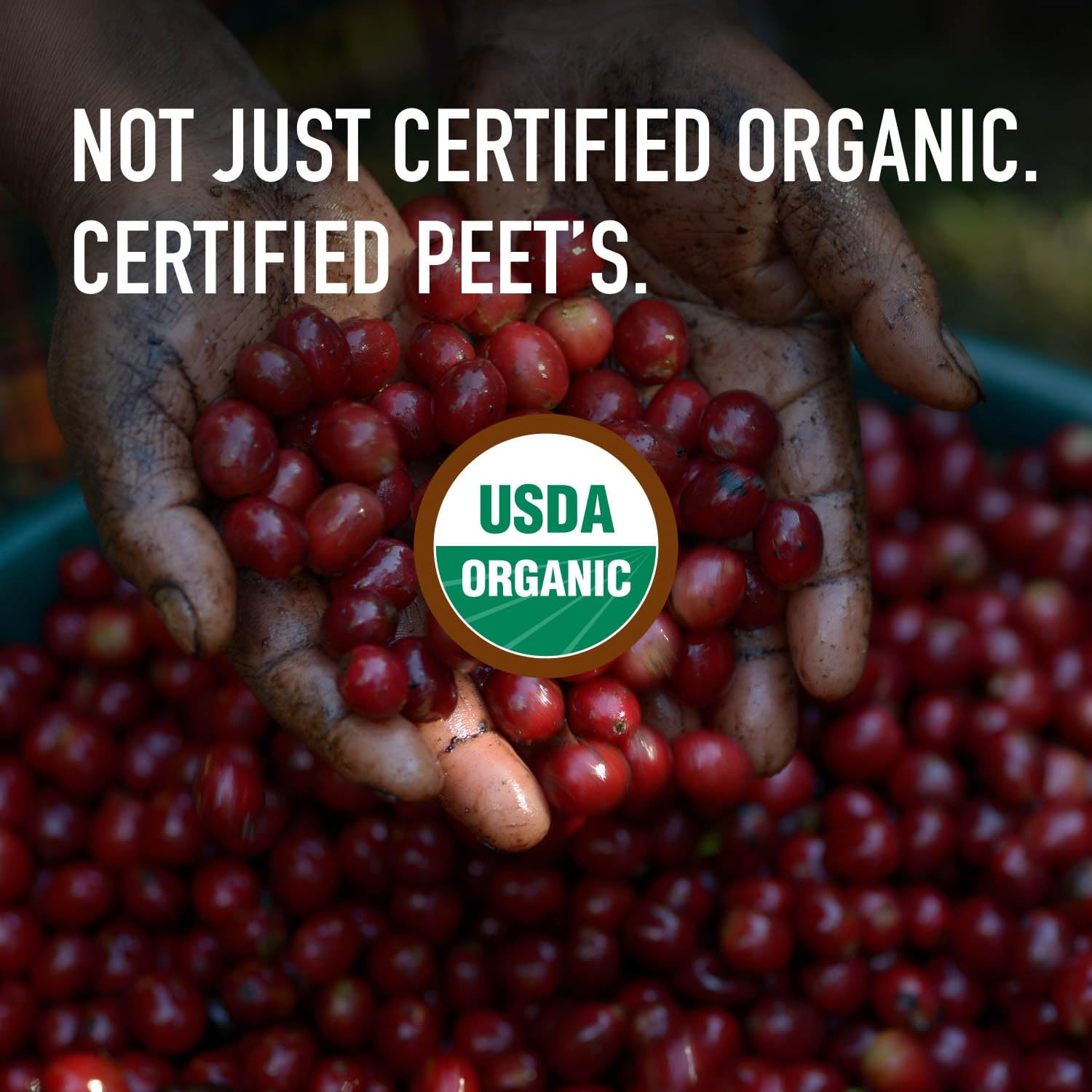 image:imagePeets Coffee USDA Organic Dark Roast Ground Coffee 100 Arabica Coffee French Roast 18 Ounce BagOrganic French Roast